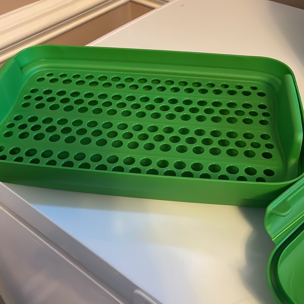Tupperware container green - Picture 2 of 5